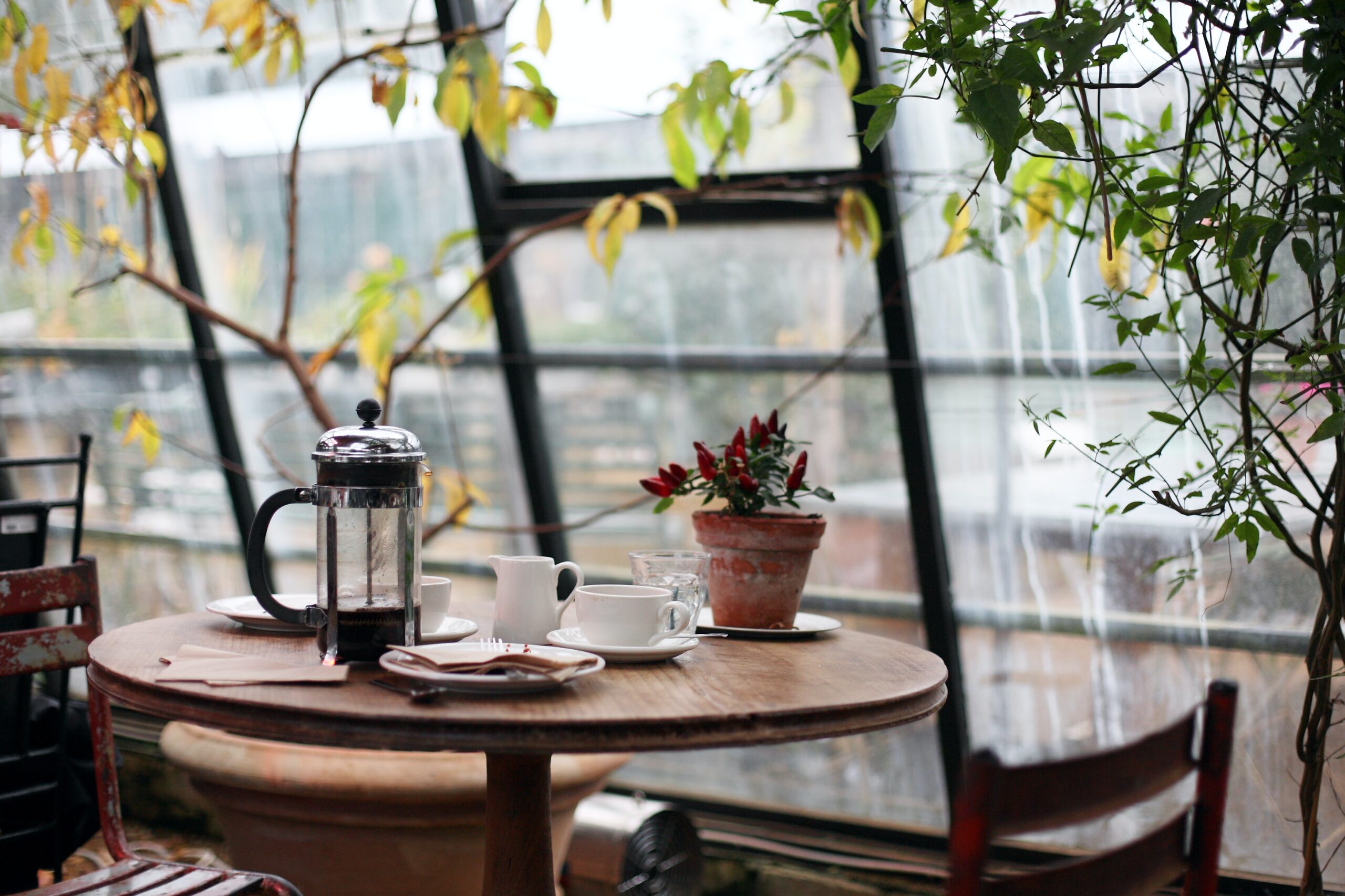 Cozy cafe table with a French press, cups, and a potted plant by a window with rain outside.